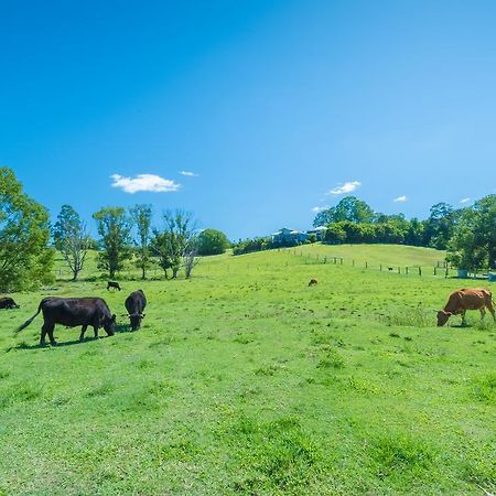 Jacaranda Creek Farmstay And B&B Sunshine Coast Exterior photo