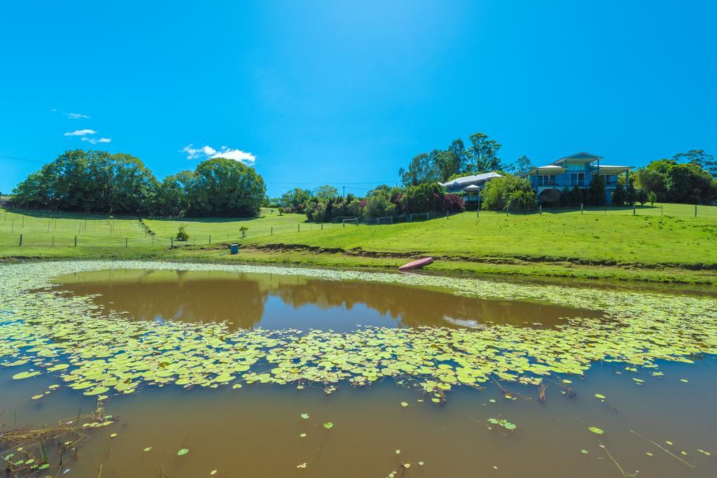 Jacaranda Creek Farmstay And B&B Sunshine Coast Exterior photo